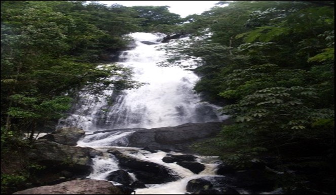 MOISACO Monumento Natural Municipal da Serra do Soarinho